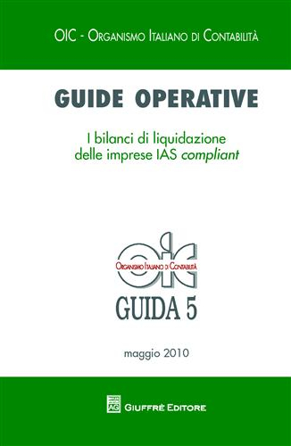 bilancio di liquidazione e piano di riparto Guida completa sulla liquidazione volontaria main image 1